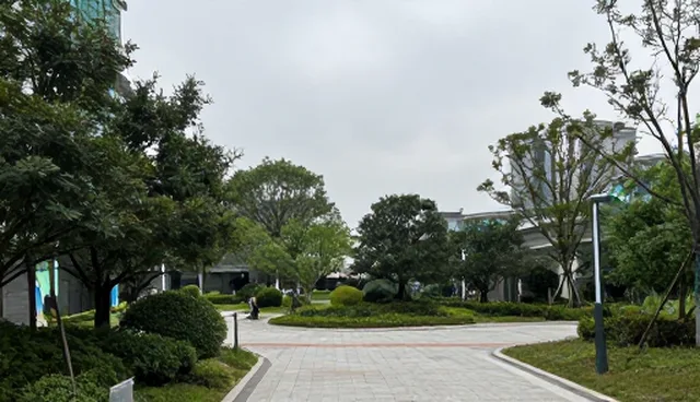 组织发展视角下的团队协作项目实践